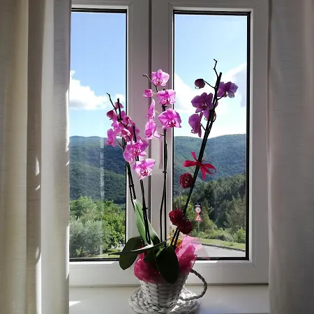Lovely Branko With Balcony And Parking *