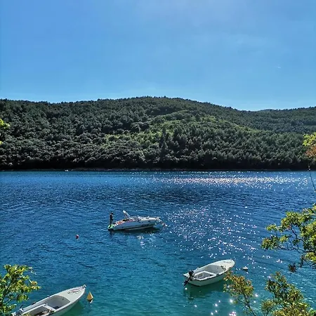 Lovely Branko With Balcony And Parking Apartment Rabac