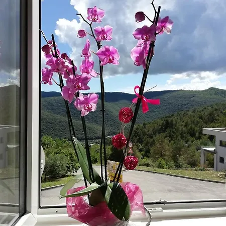 Lovely Branko With Balcony And Parking *